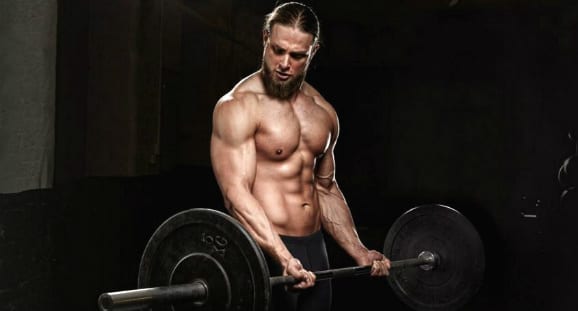 bicepso garbanos proto raumens jungtis