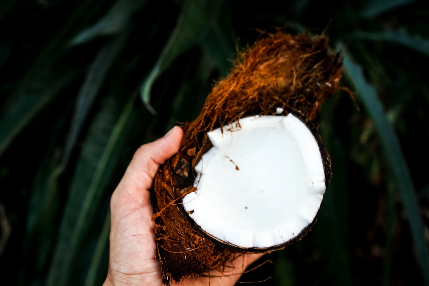 7 Health Benefits Of Coconut Water And Best Ways To Drink It