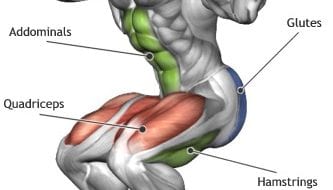 What S The Best Squat For Muscle Growth Barbell Vs Smith Machine Myprotein