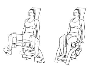 adductor exercise