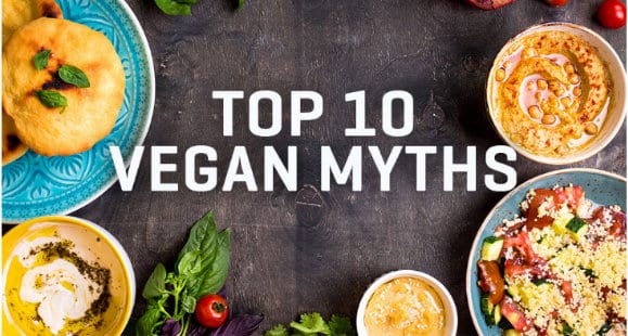 Top 10 Vegan Myths | An Infographic