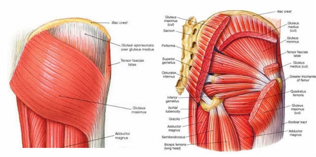 Glute Conditioning Workout For Runners Myprotein