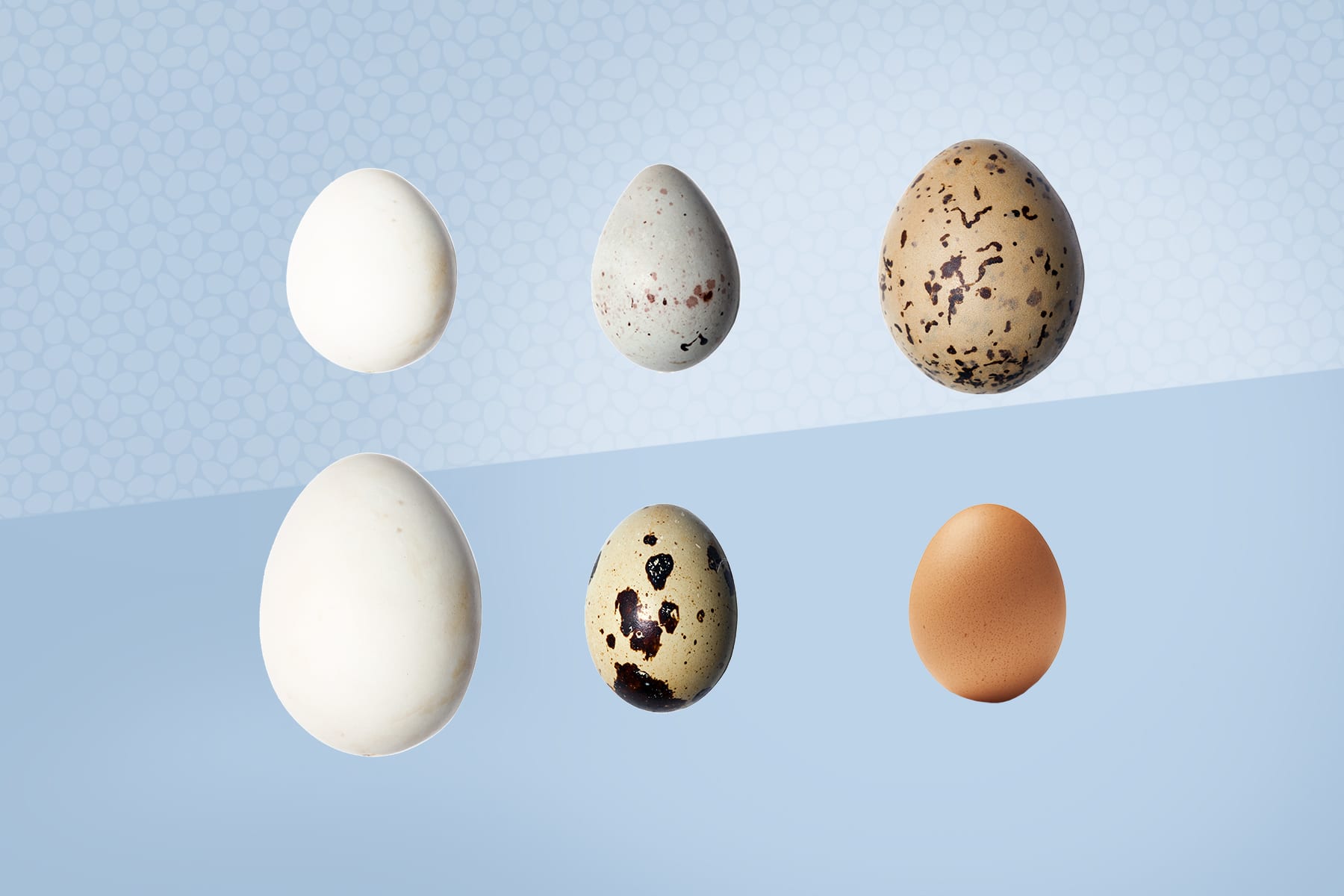 The Benefits Of Eggs At Easter | An Eggcellent Source Of Protein