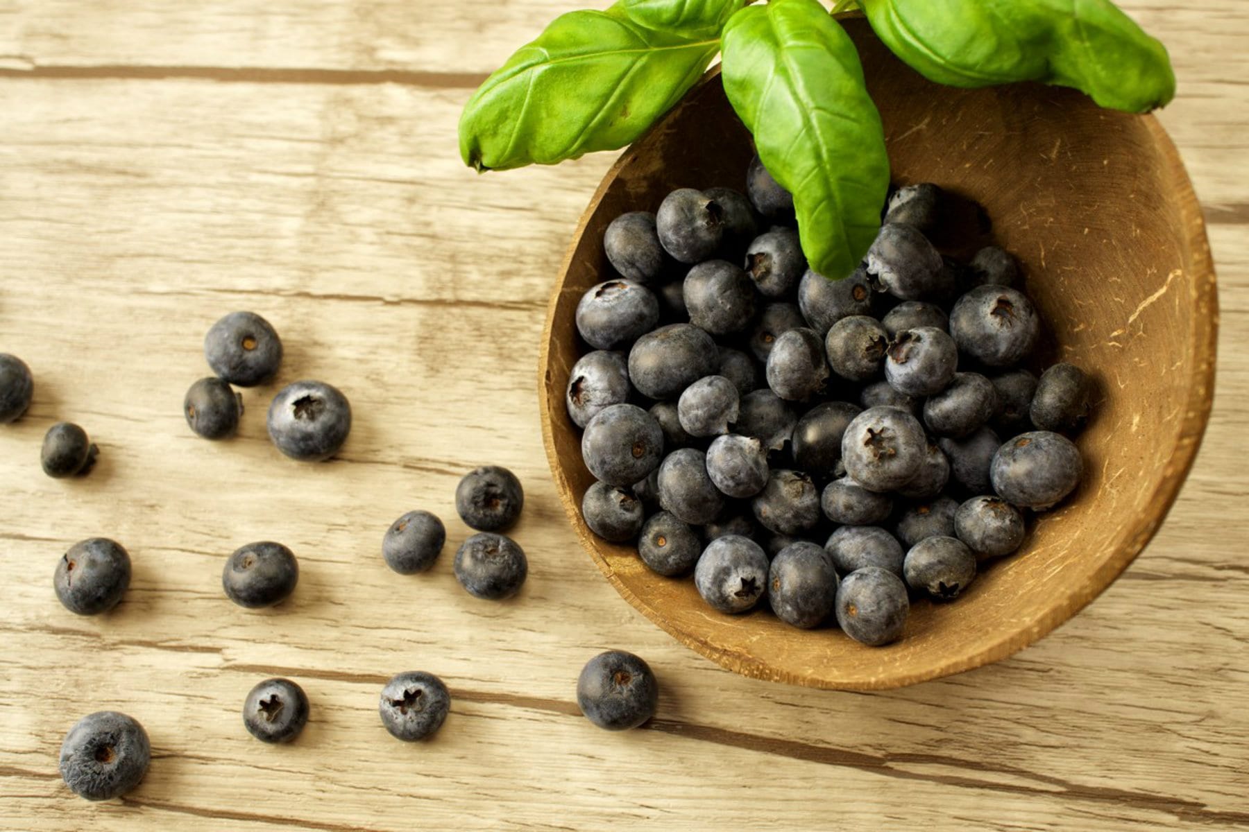 What Is Maqui Berry Powder? | Benefits & Usage
