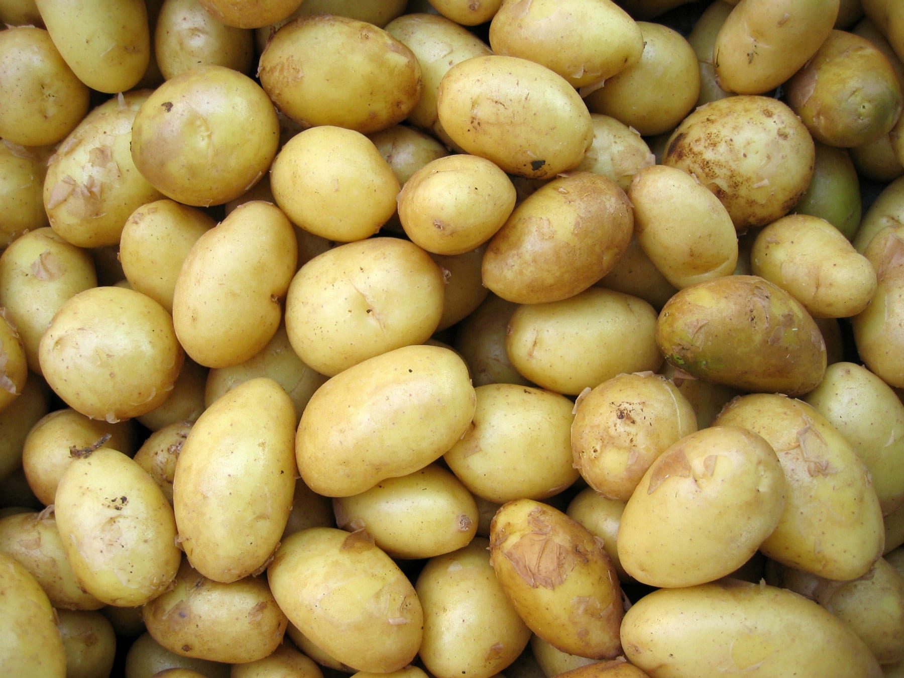 Are Potatoes Good For You | Nutrition & Benefits