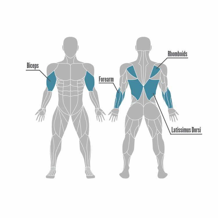 Os benefícios da elevação na barra fixa e os grupos musculares utilizados