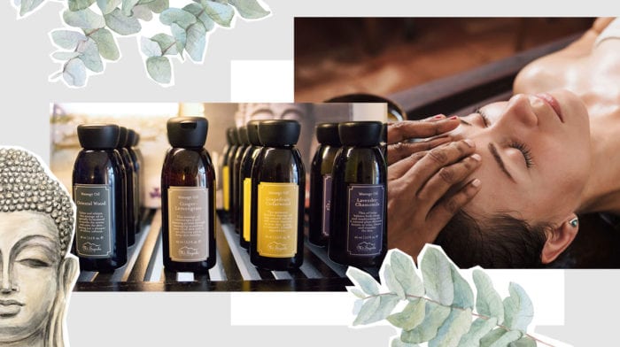 Detox mit Mt. Sapola: Diese ätherischen Öle unterstützen deinen Körper beim Entgiften