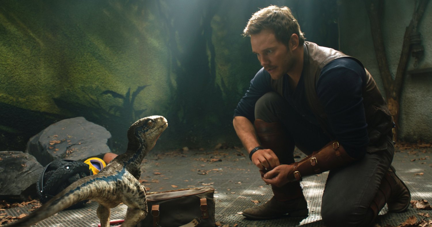bébé vélociraptor se fait entrainer par Chris Pratt