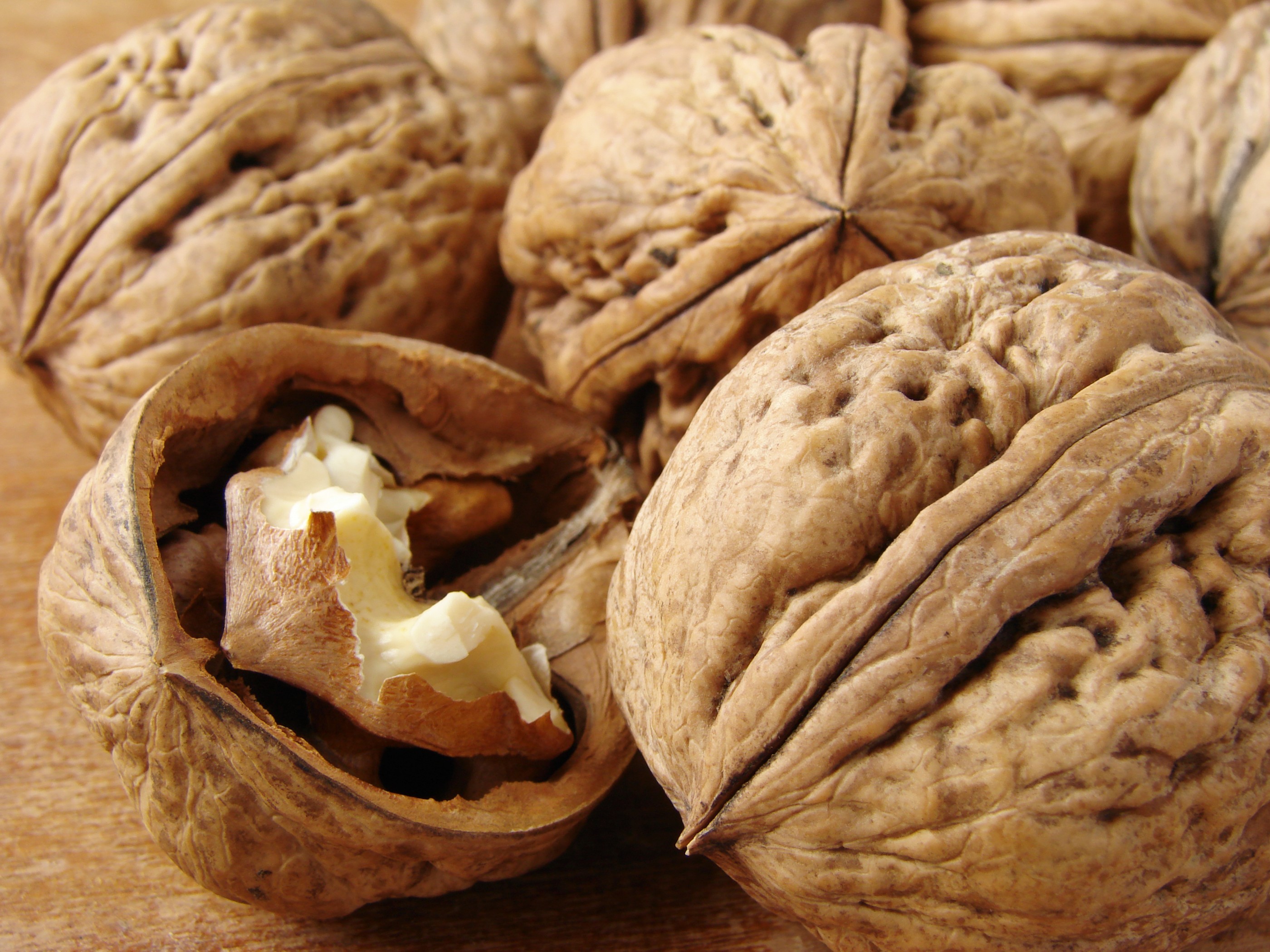 Walnuts in their shell