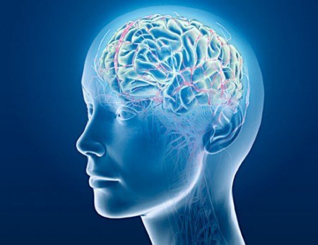 Brain inside head on blue background