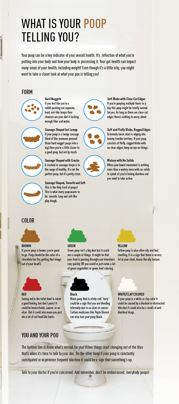 Infographic What Your Poop Is Telling You - Reverasite