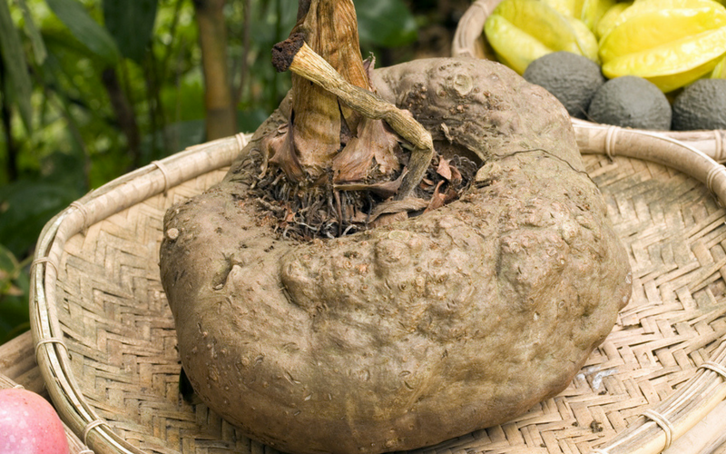 konjac root - glucomannan