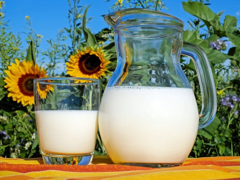 Una jarra de leche junto a algunos girasoles