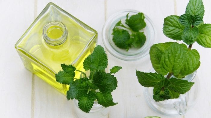 What are the benefits of peppermint essential oils for your health
