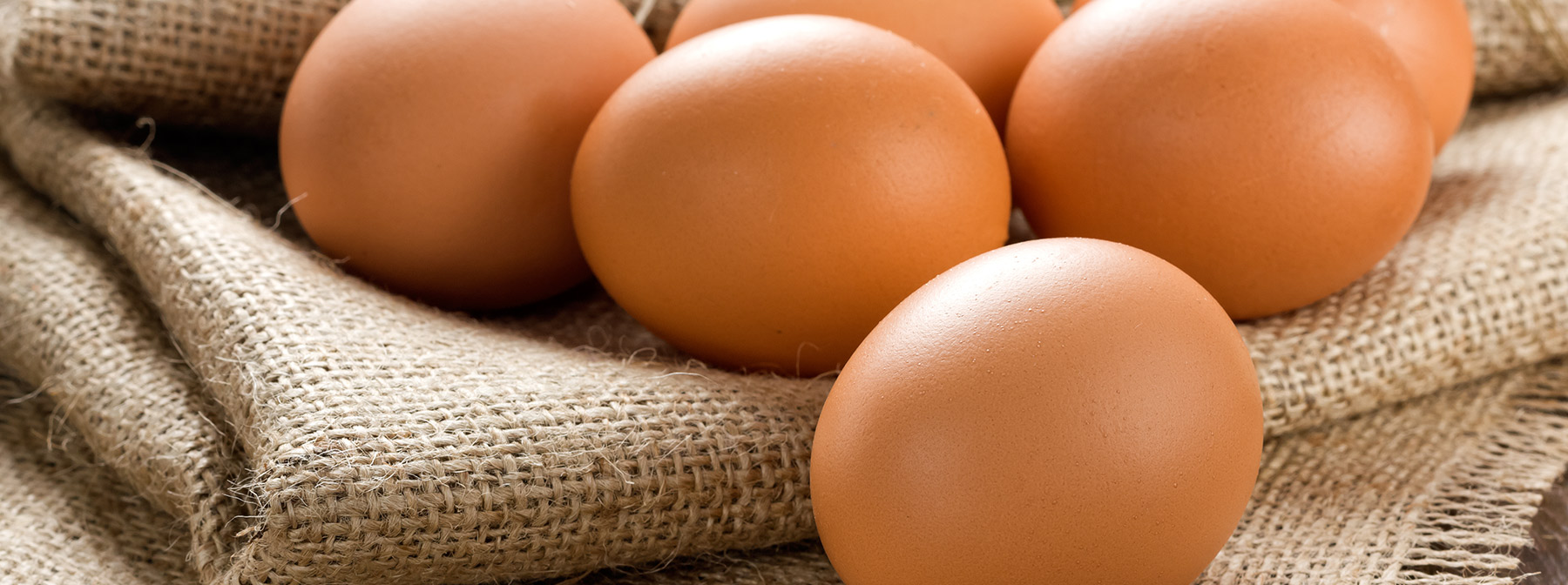 Jajka – Czy są zdrowe?