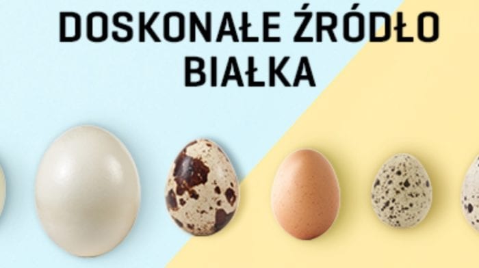 Jaja – doskonałe źródło białka | Jedz jaka na zdrowie | Źródło witamin