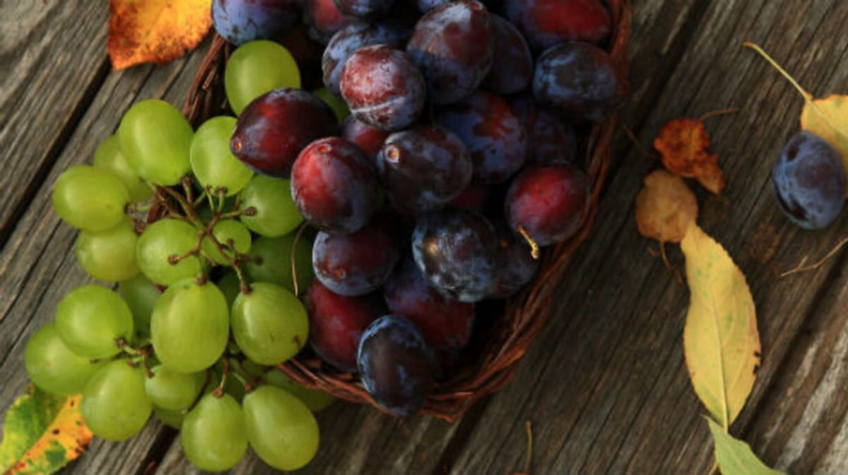 Wyciąg z pestek winogron – jakie są jego korzyści?