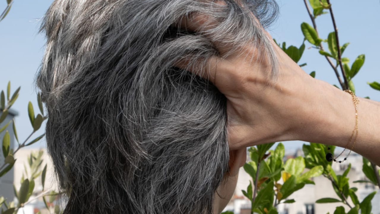 Comment Cacher Vos Cheveux Blancs Christophe Robin