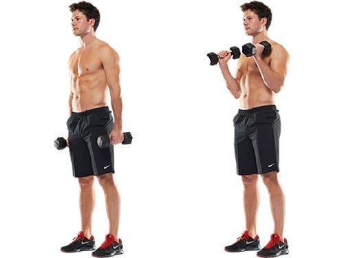 Curl de bíceps de um braço, treino de ginástica masculino, aeróbico e  exercícios.