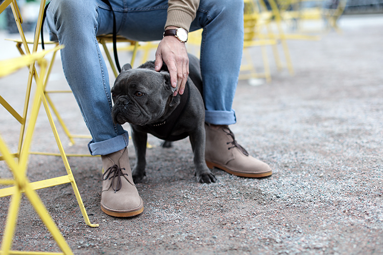 clarks originals desert boot wolf suede