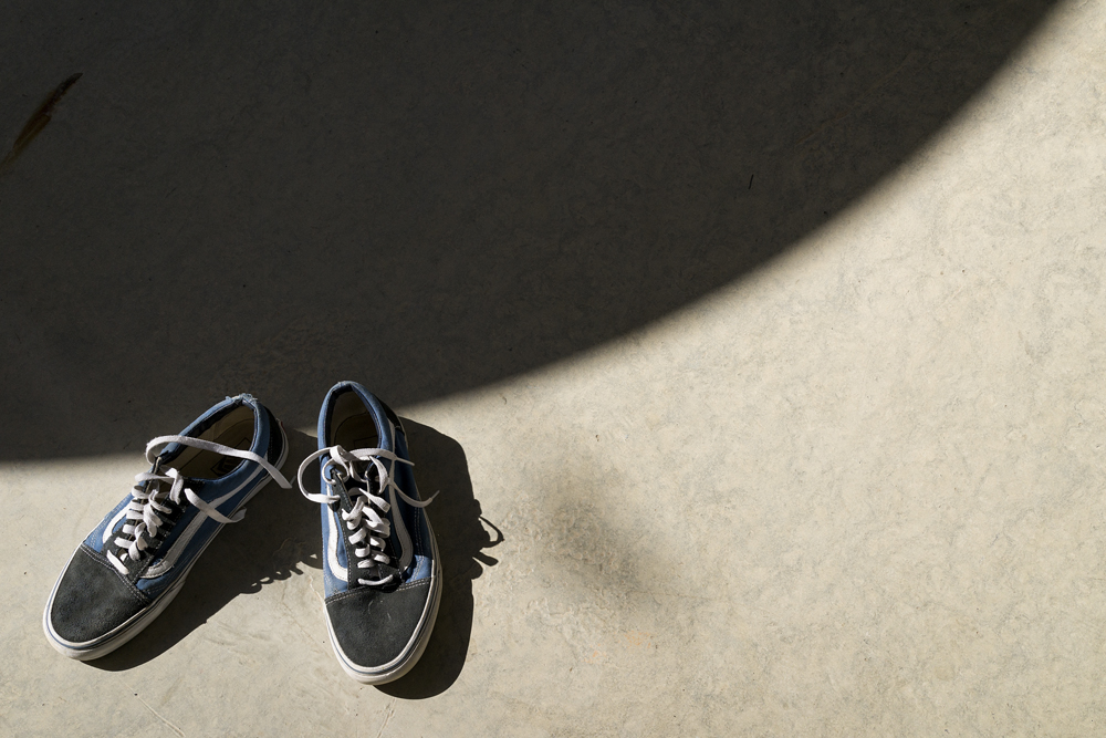 the iconic vans old skool