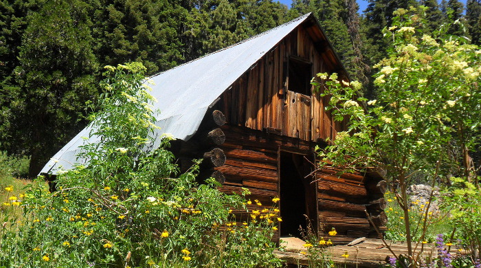 Cabin - Cabin Porn - Coggles