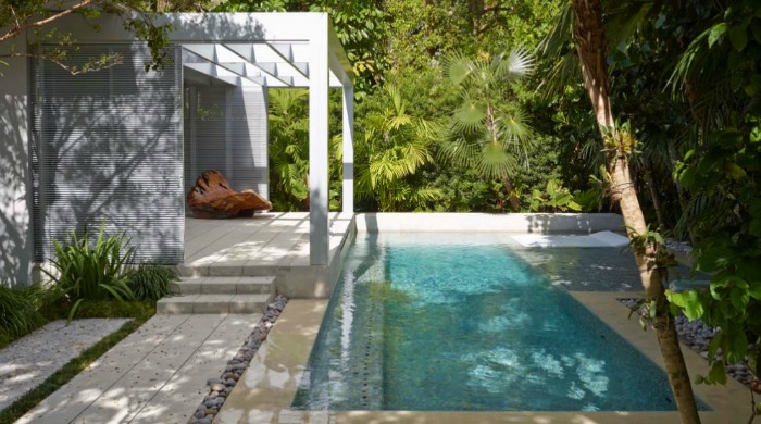 The pool surrounded by palm trees at a minimal Miami beach house.