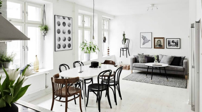 A monochrome living area with white walls and floors, black chairs and a grey sofa, with some plants in vases and hanging baskets throughout the space.