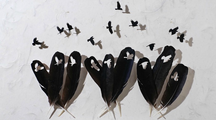 Feather art depicting crows by Chris Maynard.