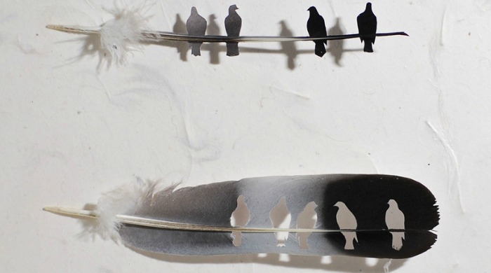 Feather art depicting pigeons by Chris Maynard.