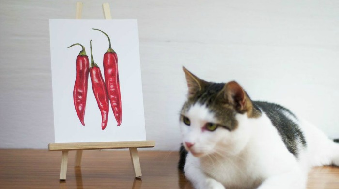 A painting of chillis by Katrina Sophia next to a cat.