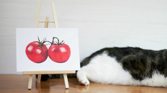 A painting of tomatoes by Katrina Sophia next to a cat.