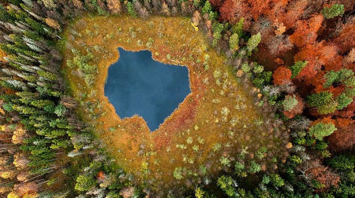 A lake and trees in autumn by Kacper Kowalski.