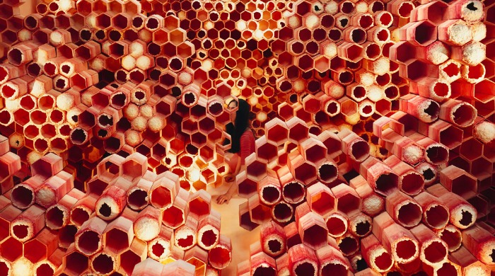 A room filled with large, lit up honeycomb structures by Jee Young Lee.