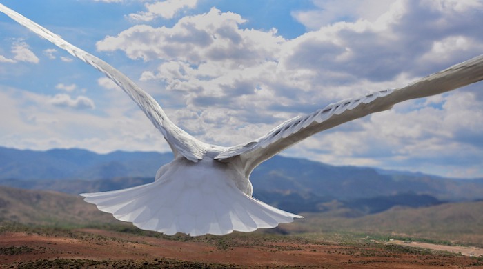 A bird flying over a vast desert by Howard Lau.