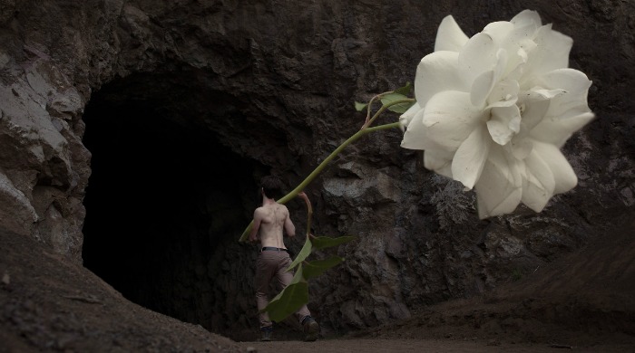 Diggie Vitt shrunk down carrying a large white flower.