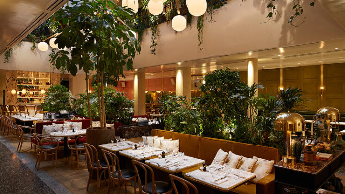 The Evolution of Paris's Bistros