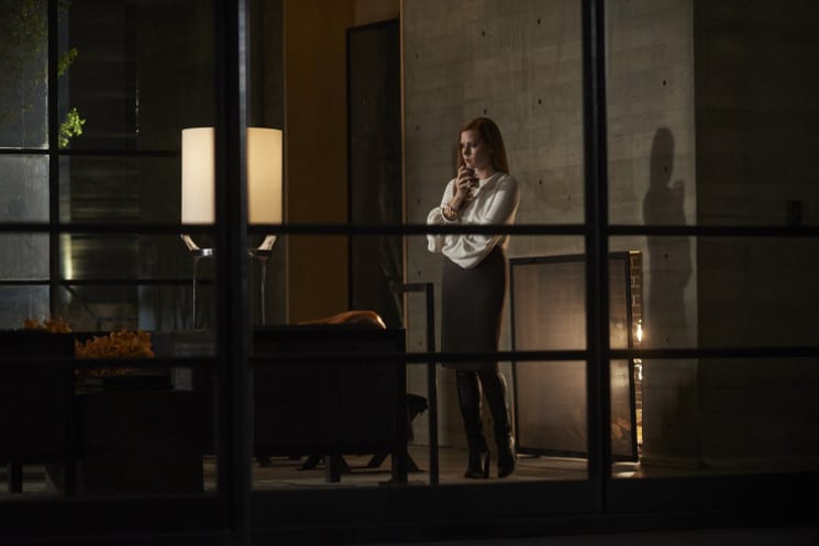 nocturnal animals